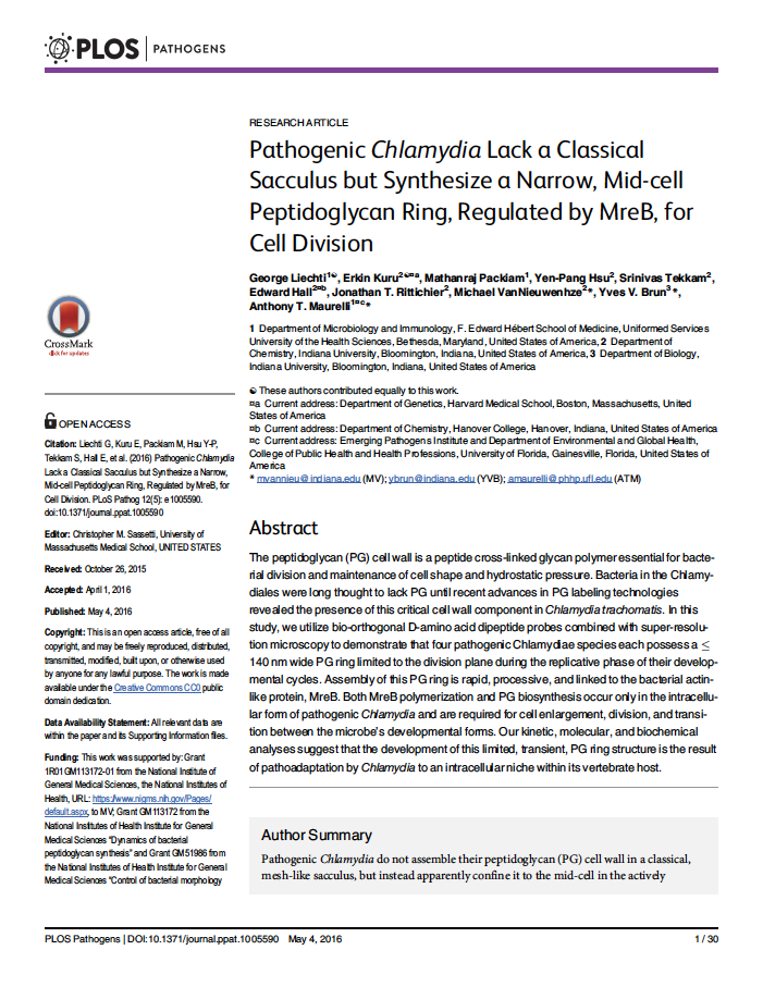 Pathogenic Chlamydia lack a ‘classical’ sacculus but synthesize a narrow, midcell peptidoglycan ring, regulated by MreB, for cell division