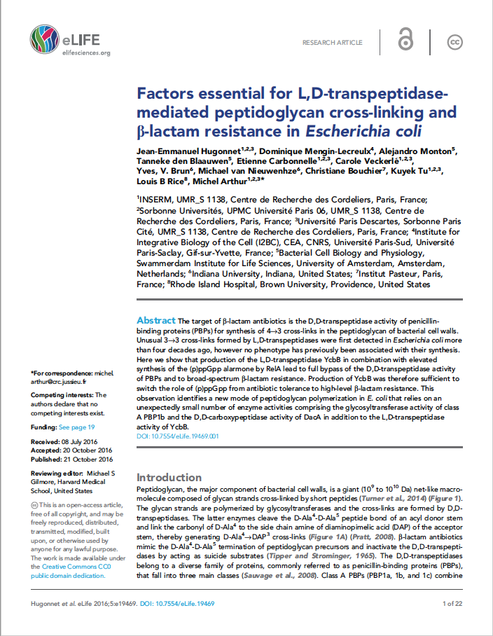 Factors essential for L,D-transpeptidase-mediated peptidoglycan cross-linking and ß-lactam resistance in Escherichia coli