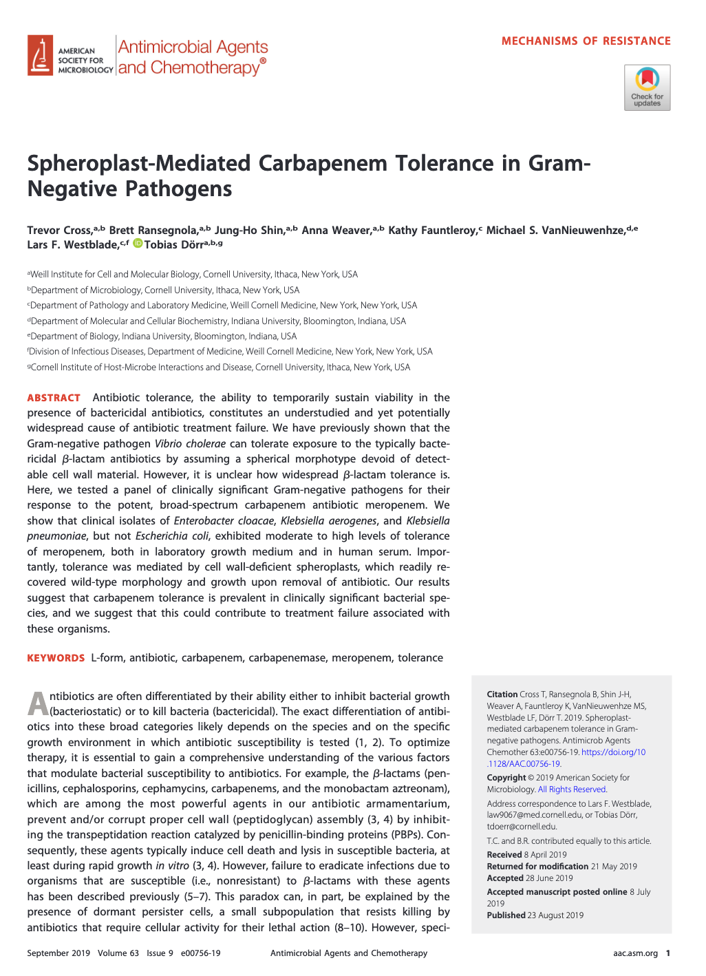 Spheroplast-Mediated Carbapenem Tolerance in Gram-Negative Pathogens